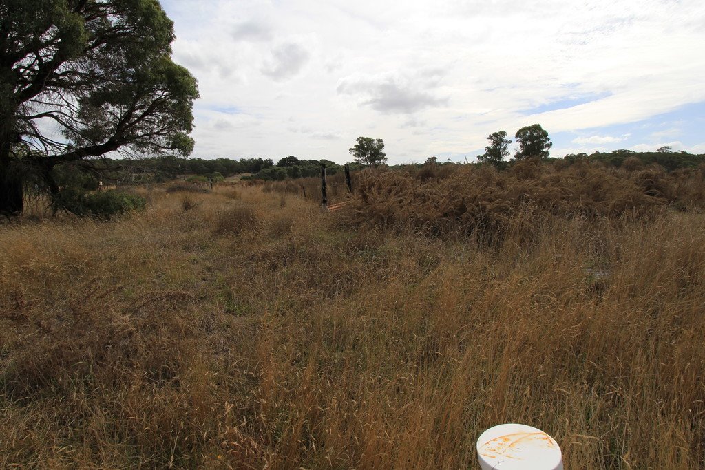 Lot 12 Wills Street SMYTHESDALE 3