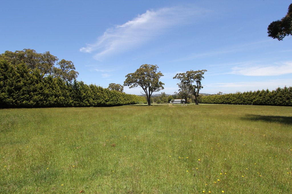 Lot 13 Evergreen Way GORDON 3