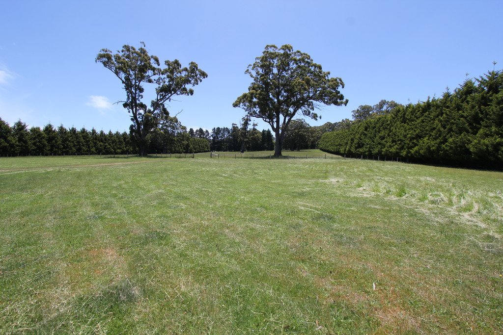Lot 13 Evergreen Way GORDON 5