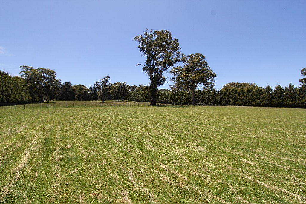 Lot 13 Evergreen Way GORDON 10