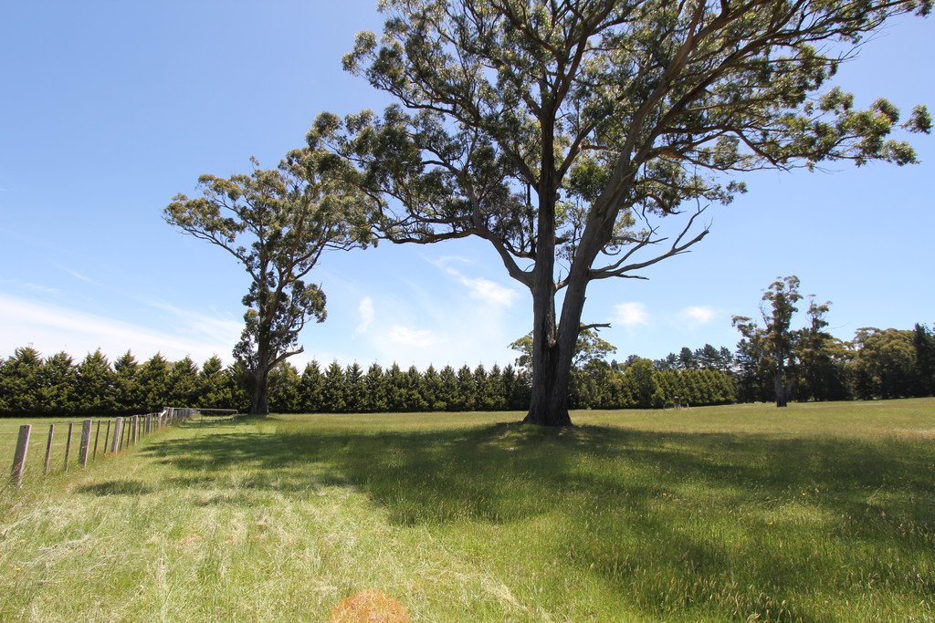 Lot 13 Evergreen Way GORDON 11