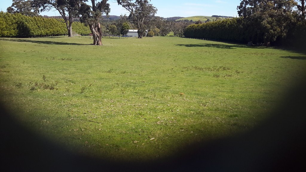 Lot 13 Evergreen Way GORDON 12