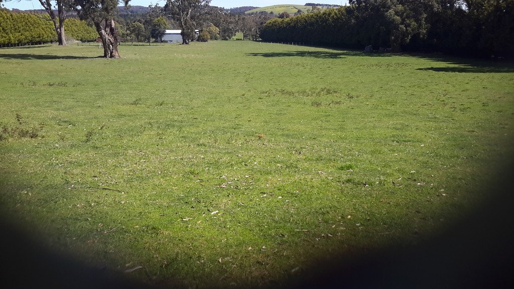 Lot 13 Evergreen Way GORDON 13