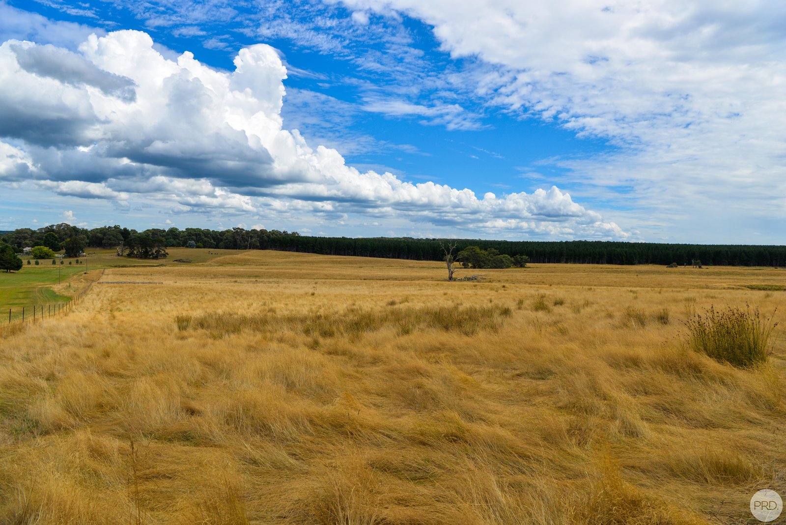 Lot 13 Rosewood Hills Rd  ROSEWOOD 1