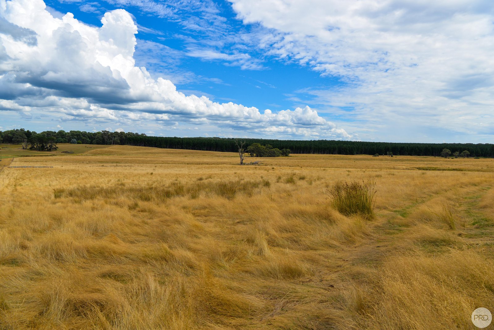 Lot 13 Rosewood Hills Rd  ROSEWOOD 2