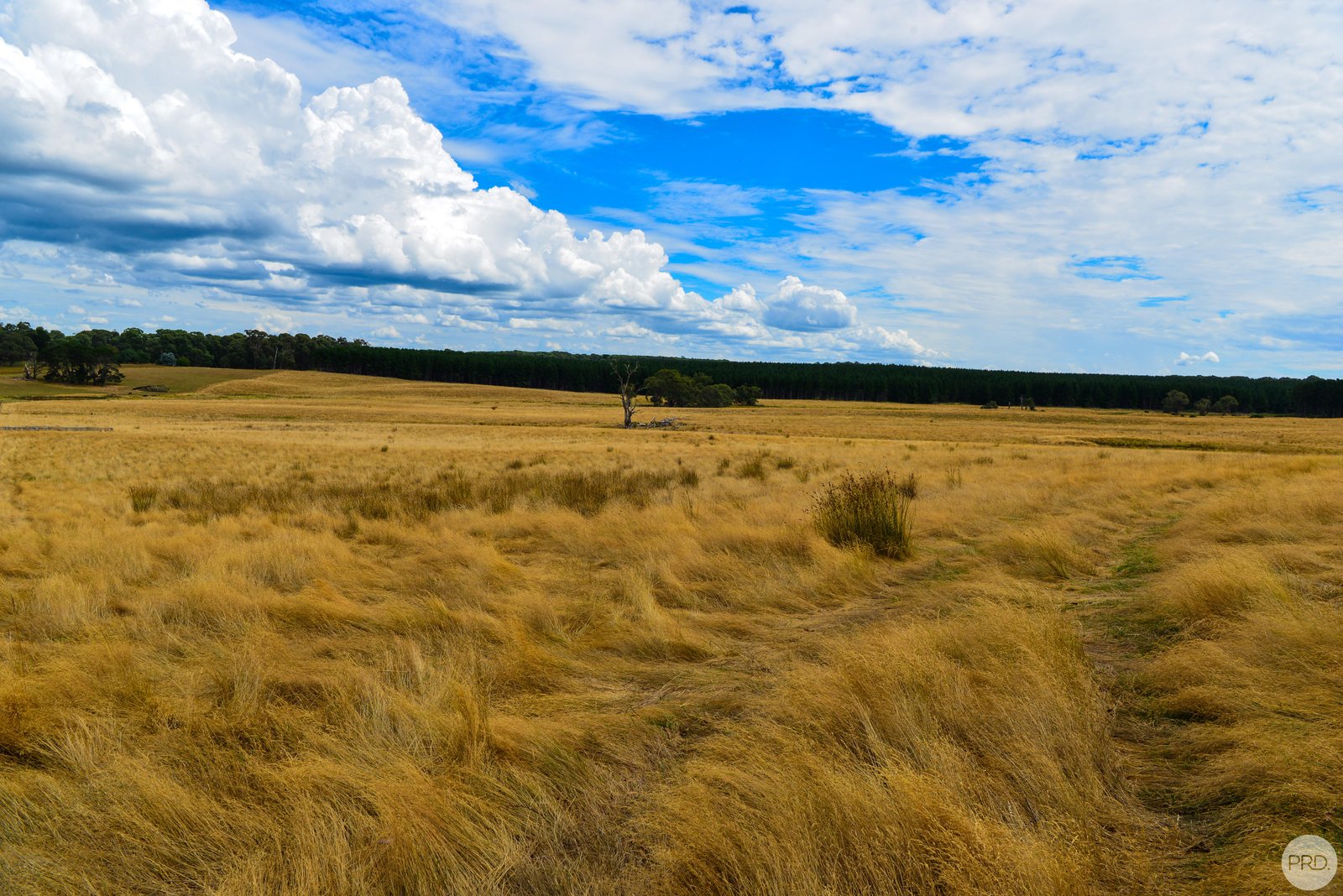 Lot 13 Rosewood Hills Rd  ROSEWOOD 3