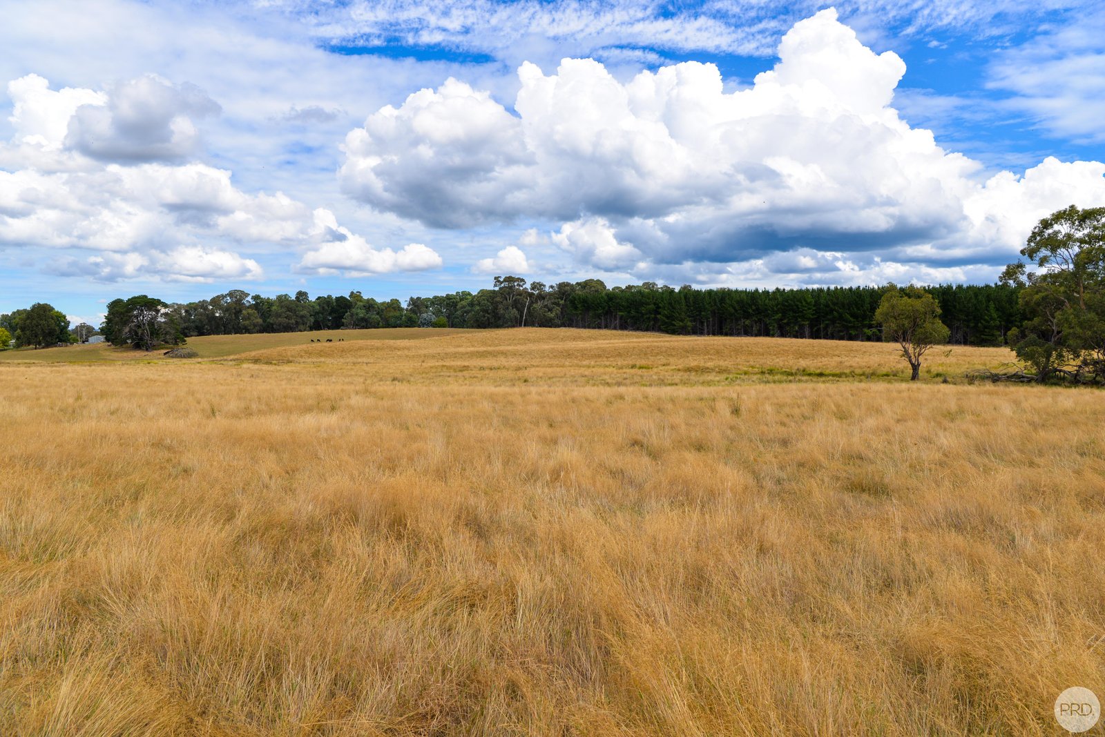 Lot 13 Rosewood Hills Rd  ROSEWOOD 4