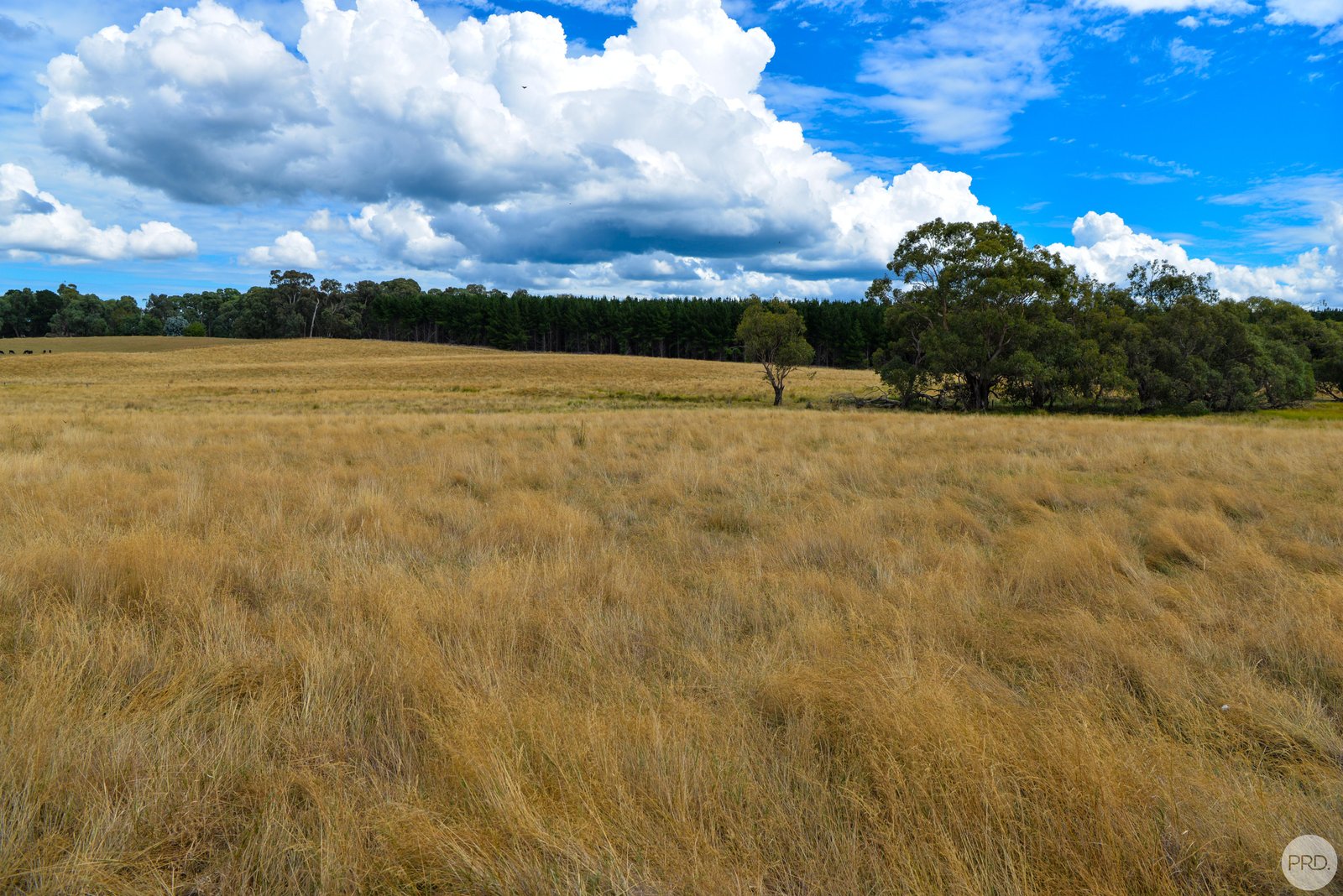 Lot 13 Rosewood Hills Rd  ROSEWOOD 5