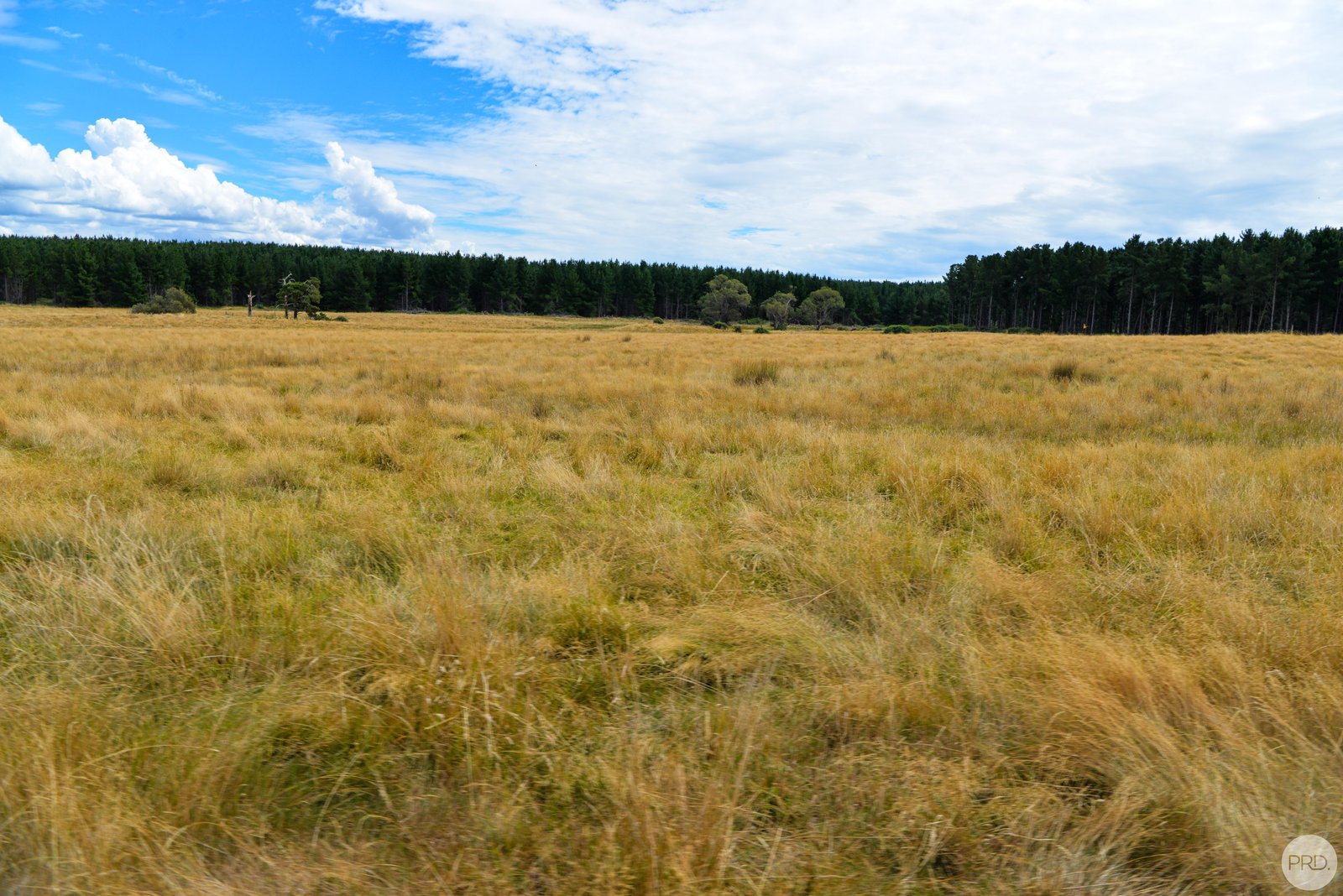 Lot 13 Rosewood Hills Rd  ROSEWOOD 6