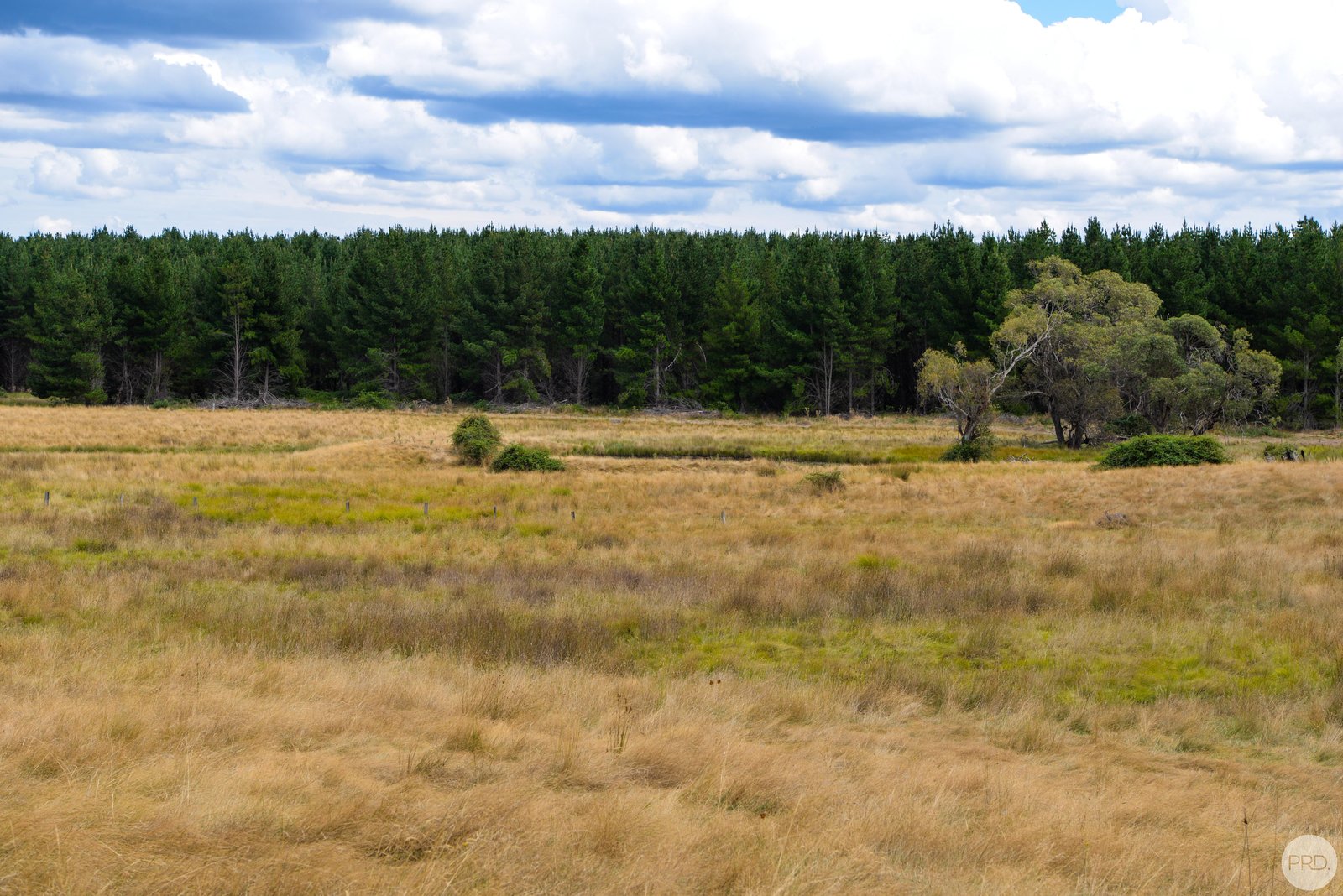 Lot 13 Rosewood Hills Rd  ROSEWOOD 7