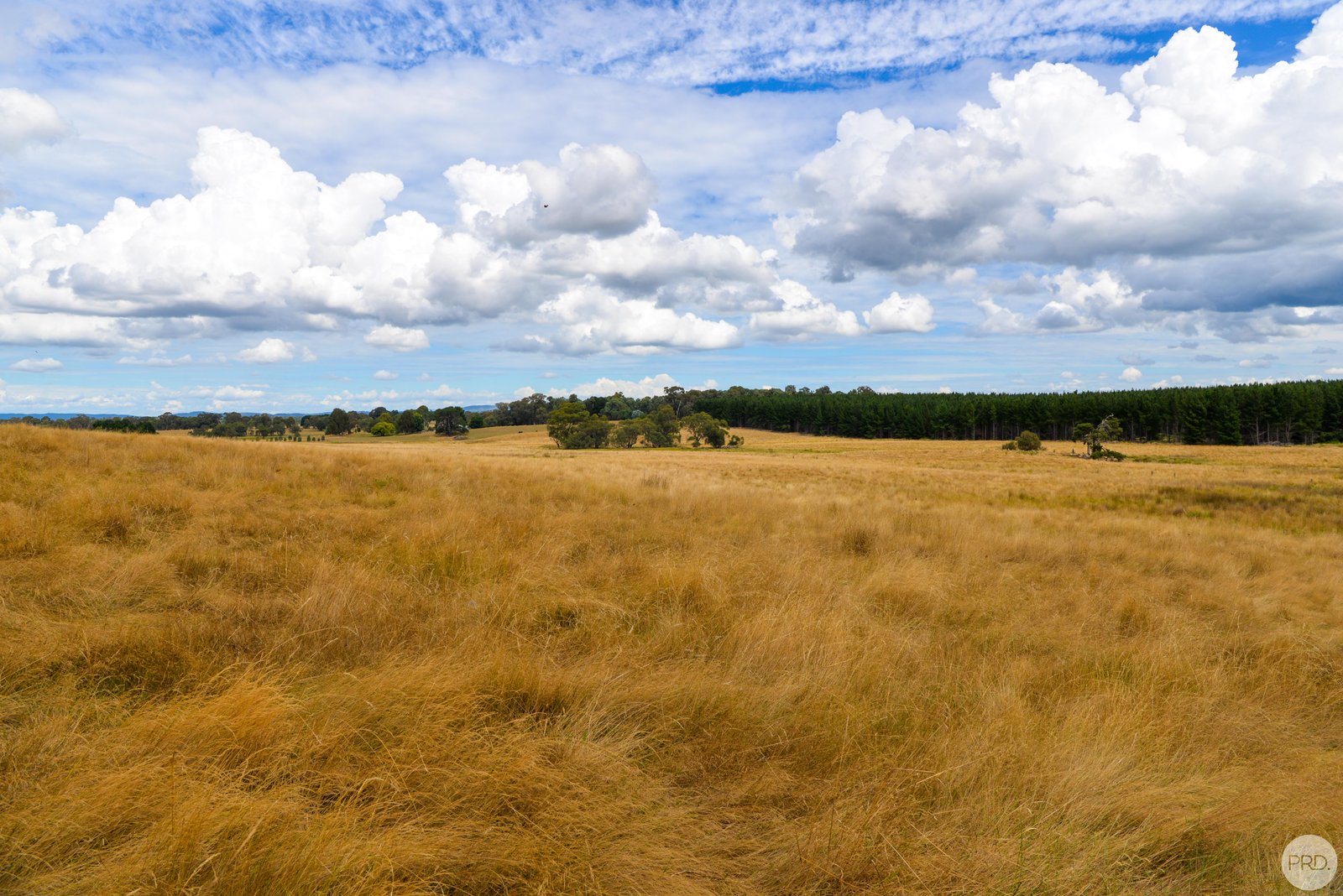 Lot 13 Rosewood Hills Rd  ROSEWOOD 8