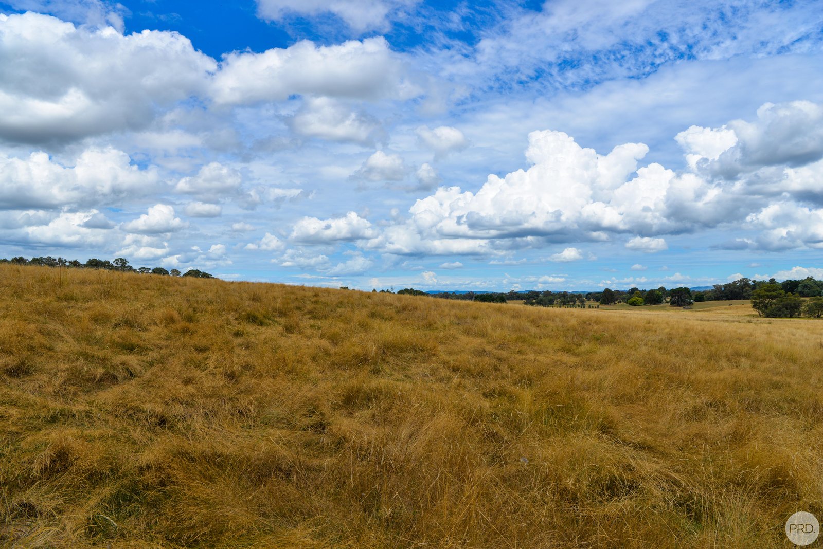 Lot 13 Rosewood Hills Rd  ROSEWOOD 9