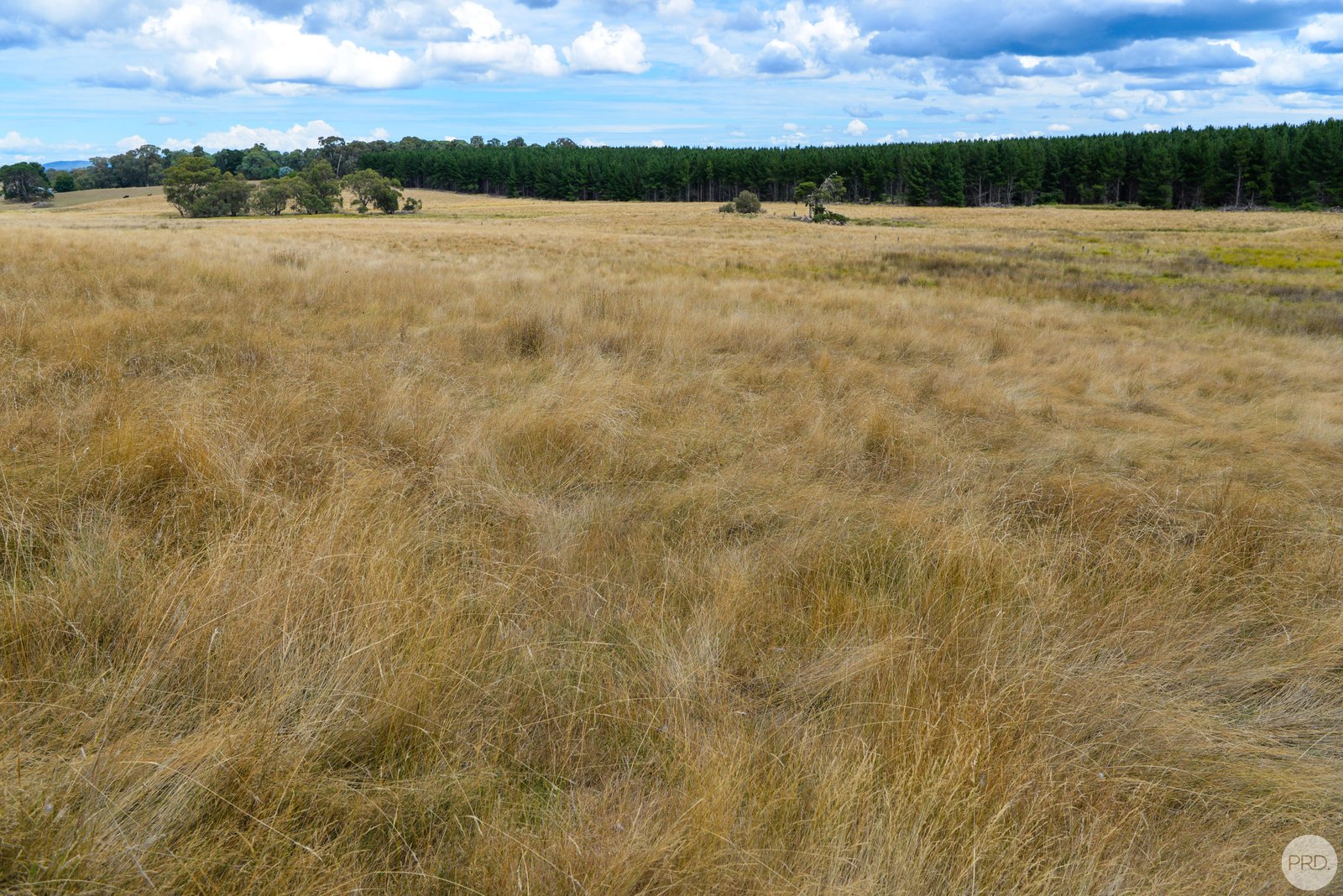 Lot 13 Rosewood Hills Rd  ROSEWOOD 10