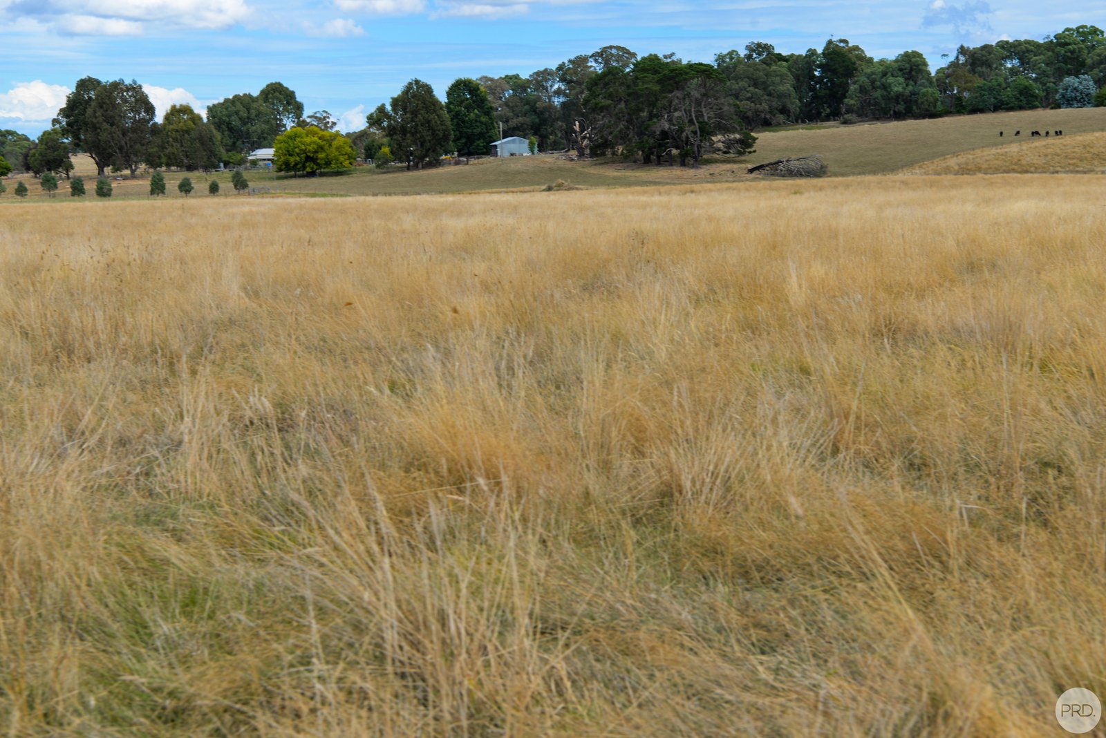 Lot 13 Rosewood Hills Rd  ROSEWOOD 11