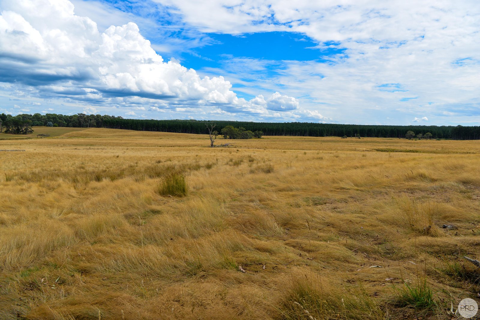 Lot 13 Rosewood Hills Rd  ROSEWOOD 12