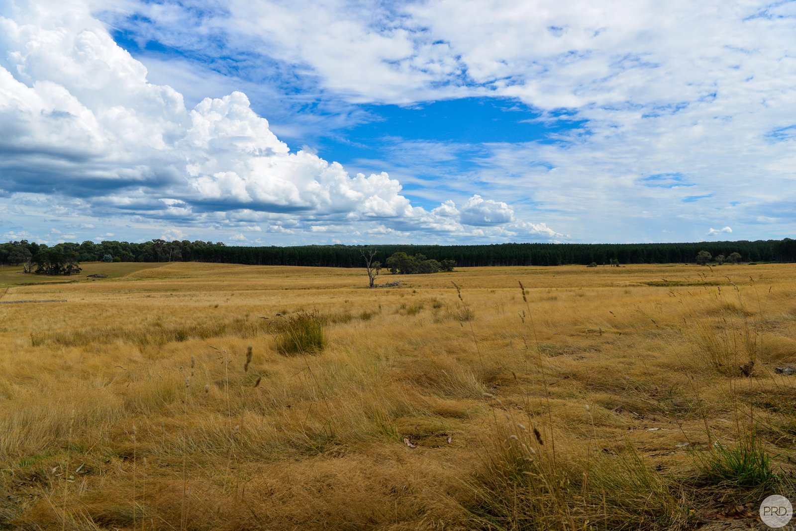 Lot 13 Rosewood Hills Rd  ROSEWOOD 13