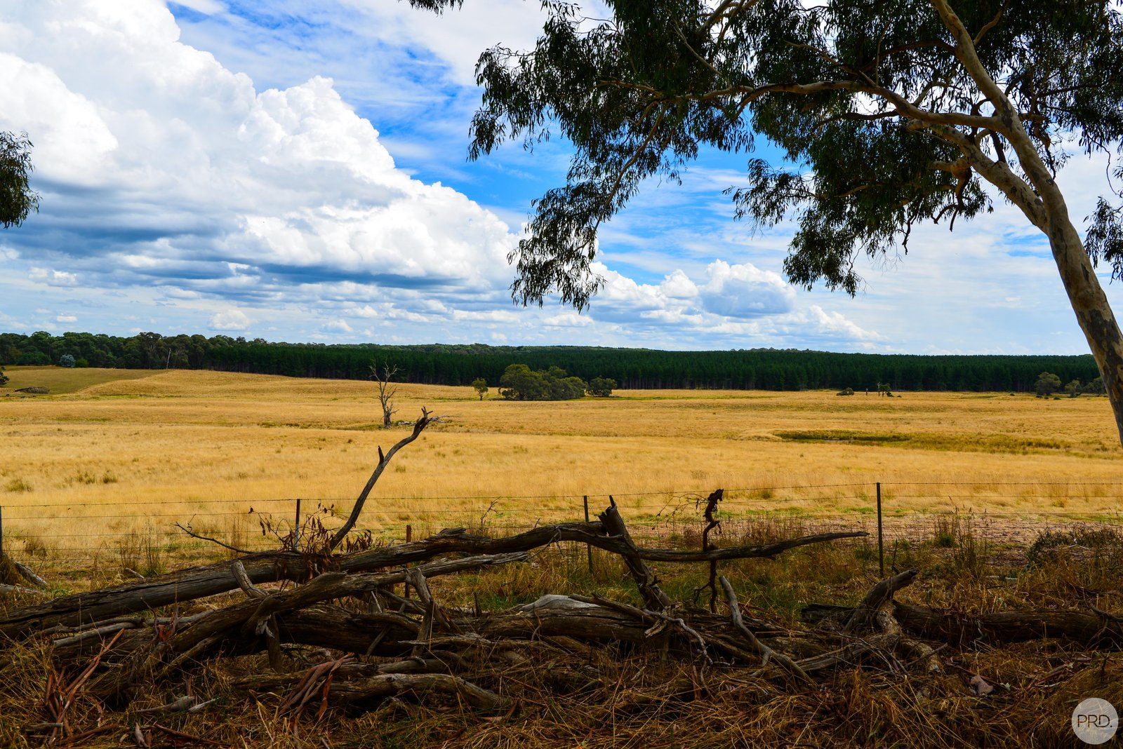 Lot 13 Rosewood Hills Rd  ROSEWOOD 14