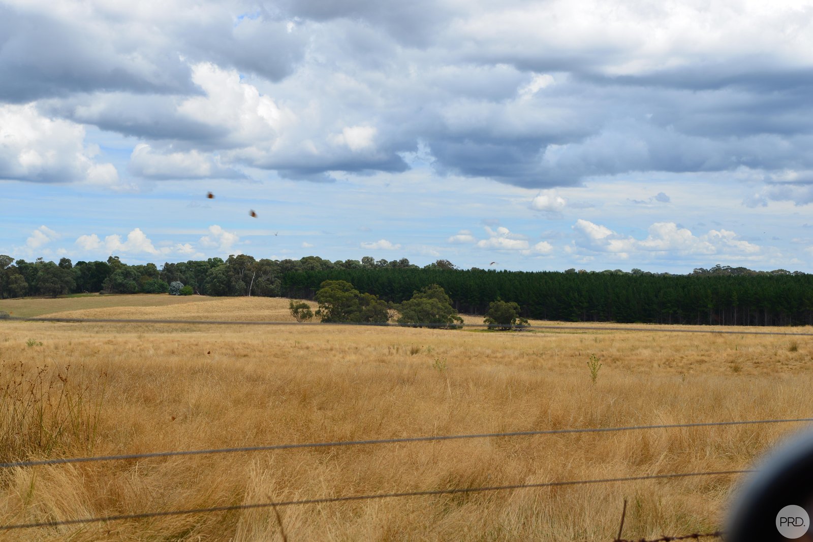 Lot 13 Rosewood Hills Rd  ROSEWOOD 15