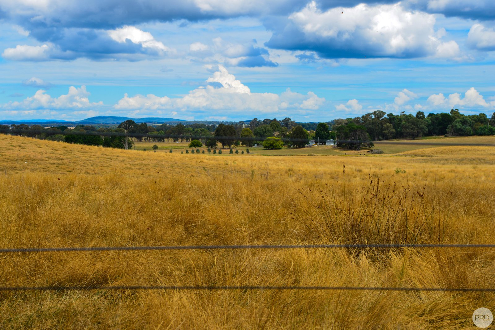 Lot 13 Rosewood Hills Rd  ROSEWOOD 16