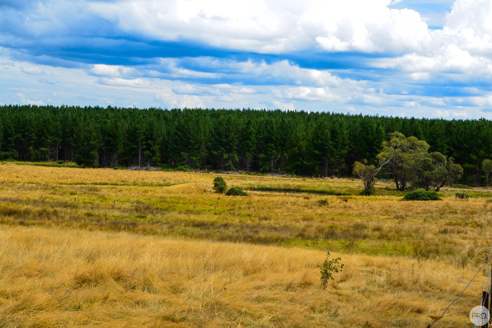 Lot 13 Rosewood Hills Rd  ROSEWOOD 17