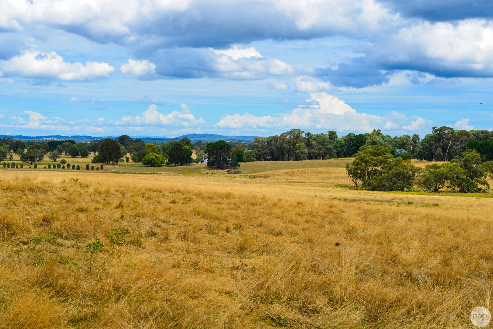 Lot 13 Rosewood Hills Rd  ROSEWOOD 18