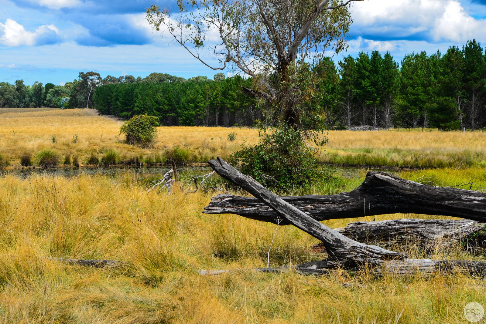 Lot 13 Rosewood Hills Rd  ROSEWOOD 20