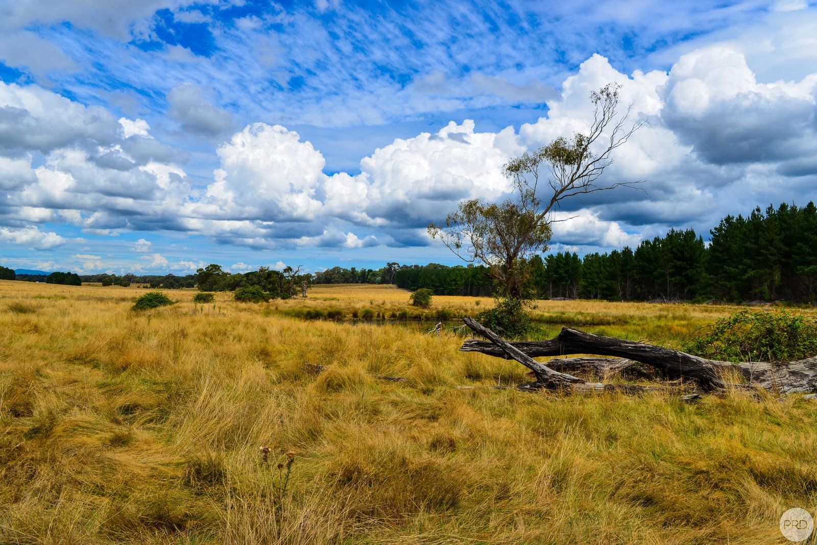 Lot 13 Rosewood Hills Rd  ROSEWOOD 21