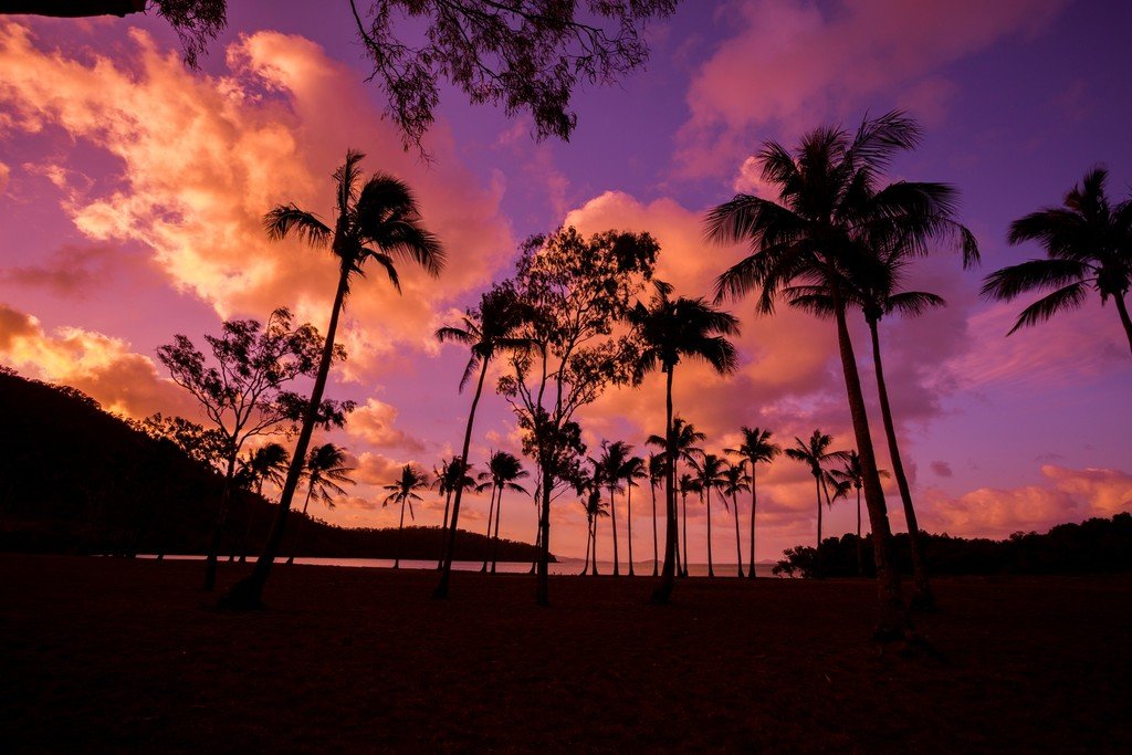 Lot 13 "Santa Monica", Funnel Bay FLAMETREE 4