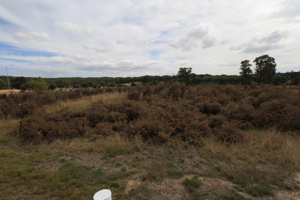 Lot 13 Wills Street SMYTHESDALE 2