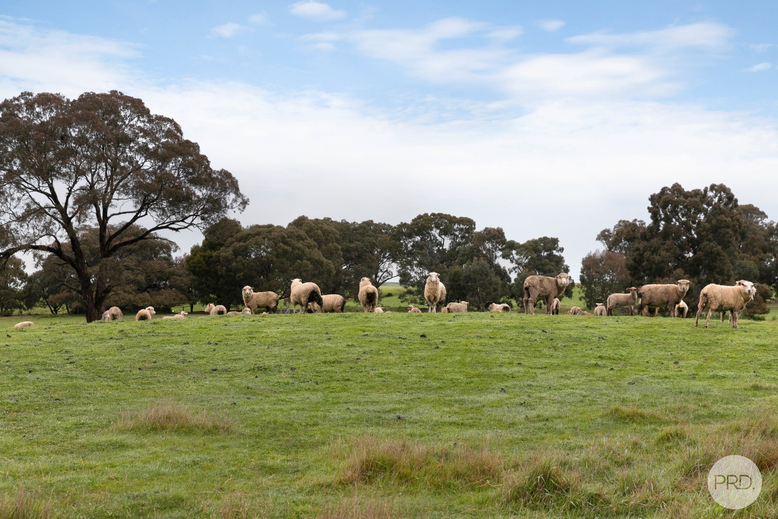 Lot 130D Linton-Naringhil Road LINTON 7