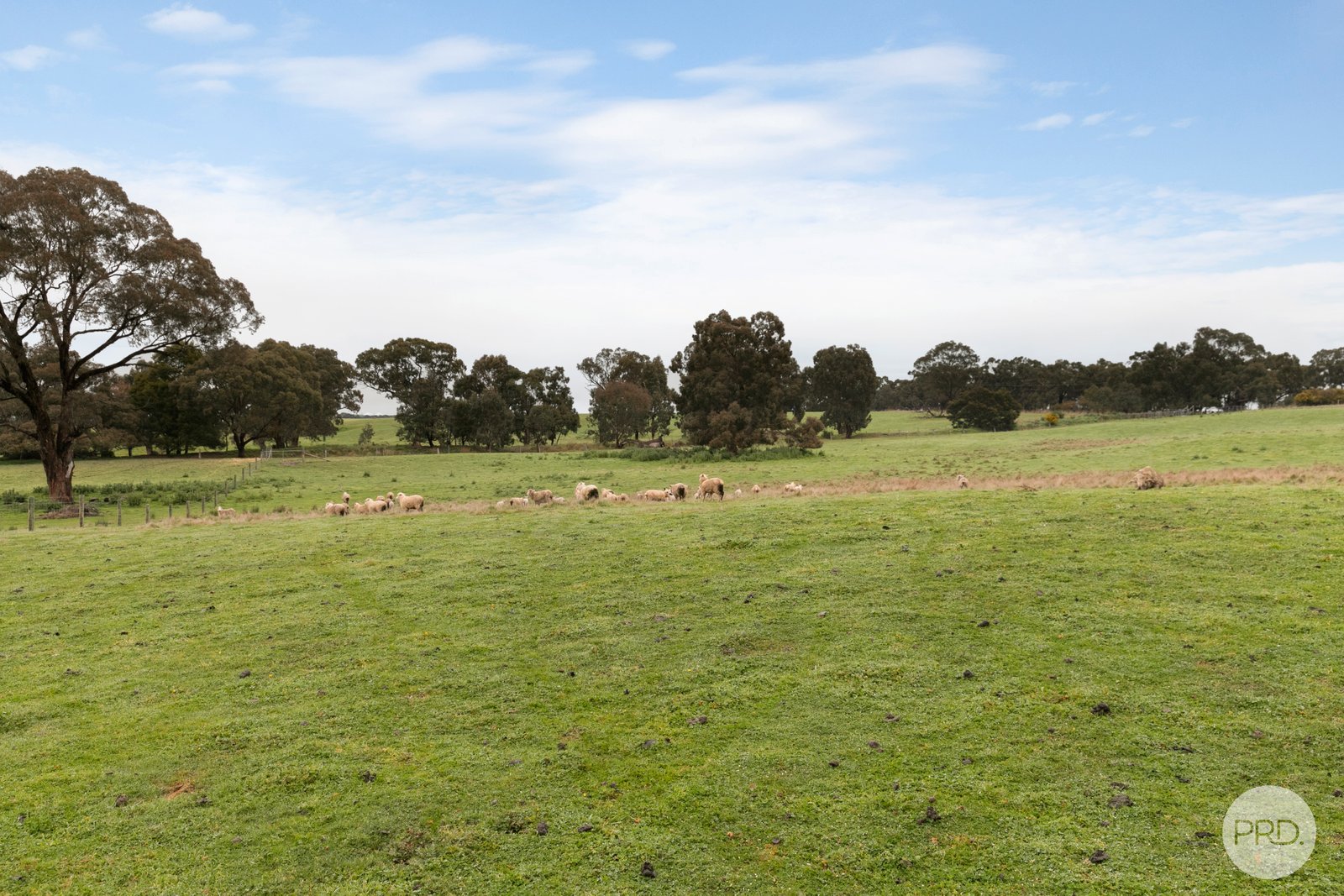 Lot 130D Linton-Naringhil Road LINTON 8
