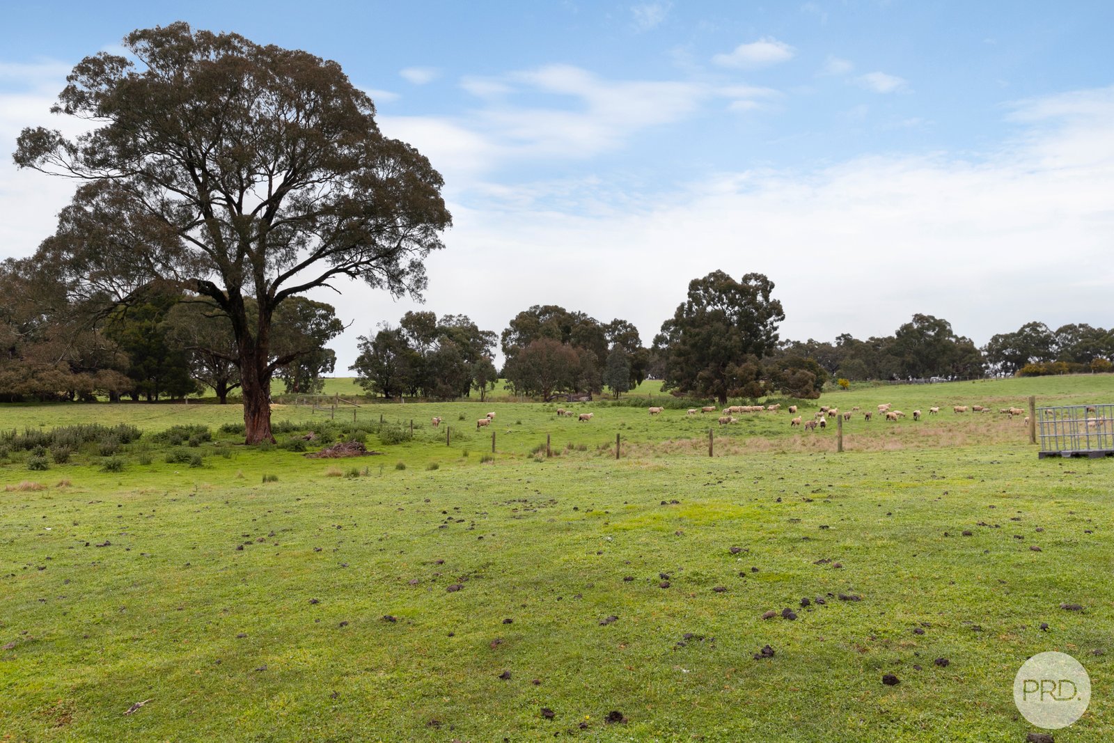 Lot 130D Linton-Naringhil Road LINTON 9