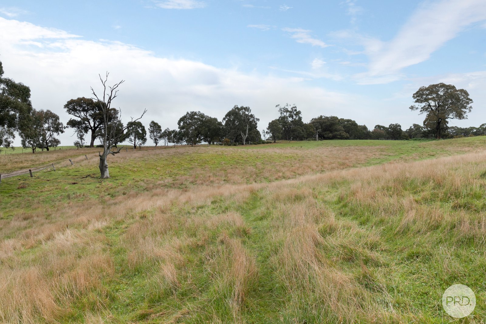 Lot 130D Linton-Naringhil Road LINTON 12