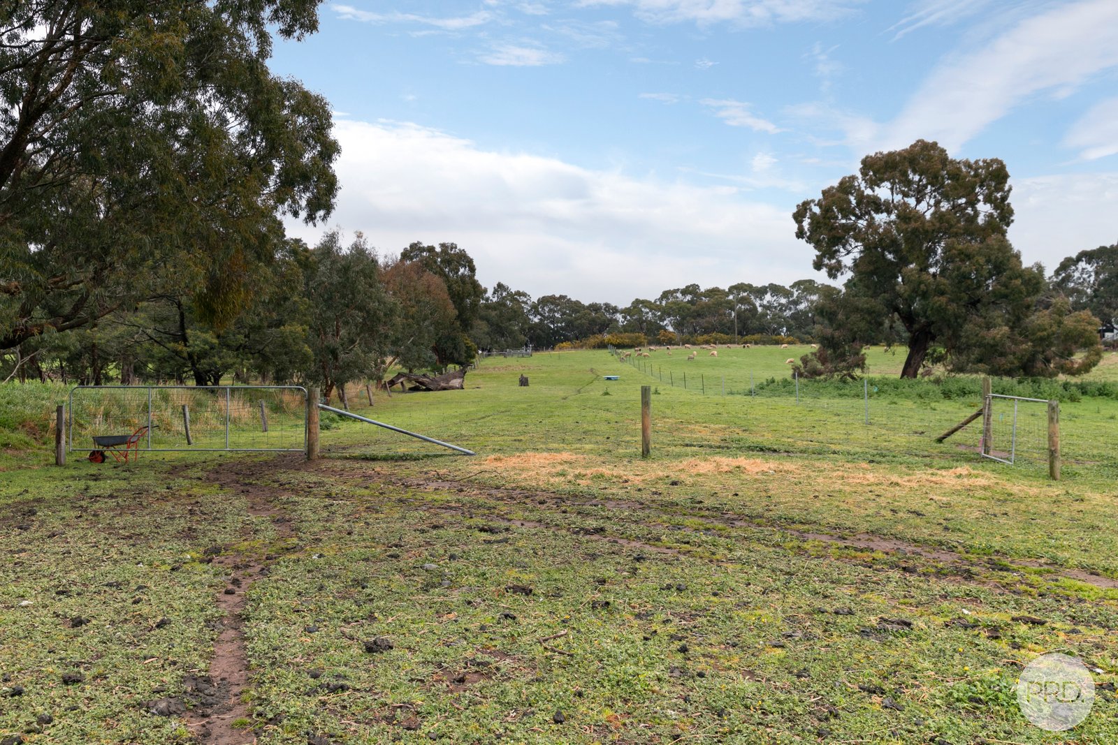 Lot 130D Linton-Naringhil Road LINTON 13
