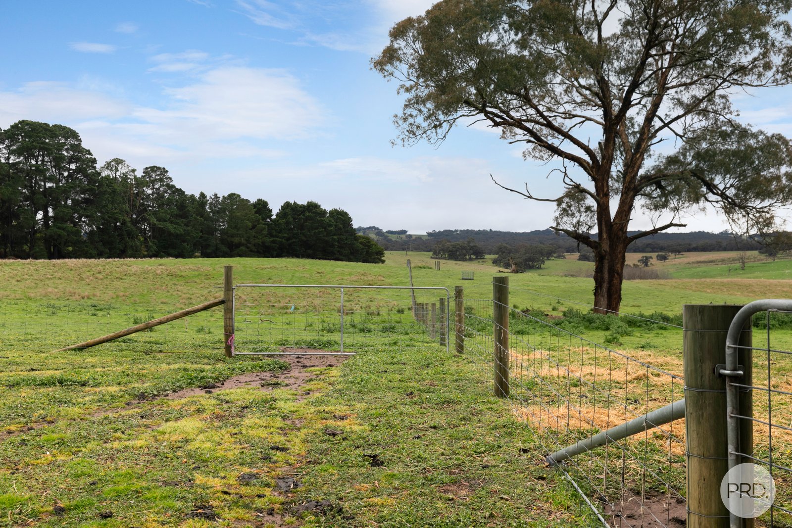 Lot 130D Linton-Naringhil Road LINTON 14