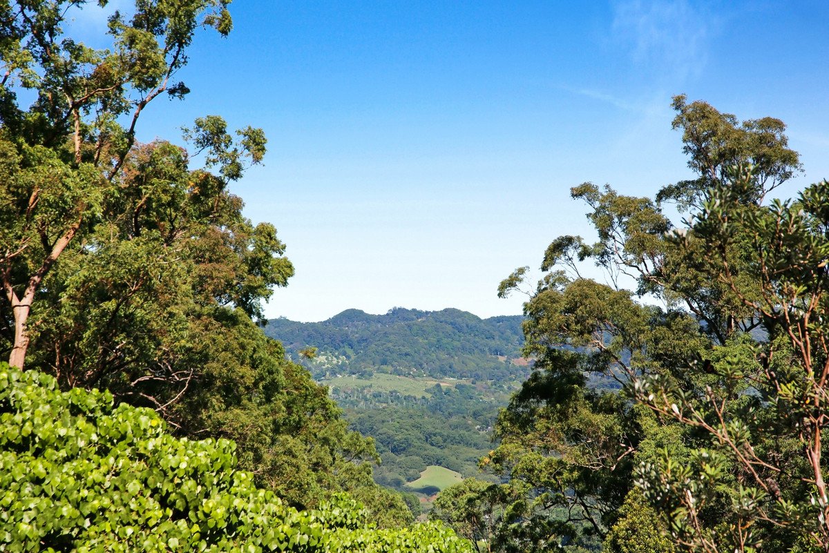 Lot 14/463 Trees Road Tallebudgera 4