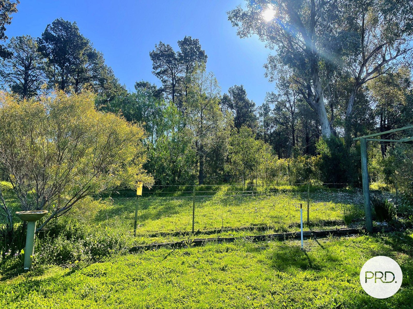 Lot 153 Cooper Street EUGOWRA 5