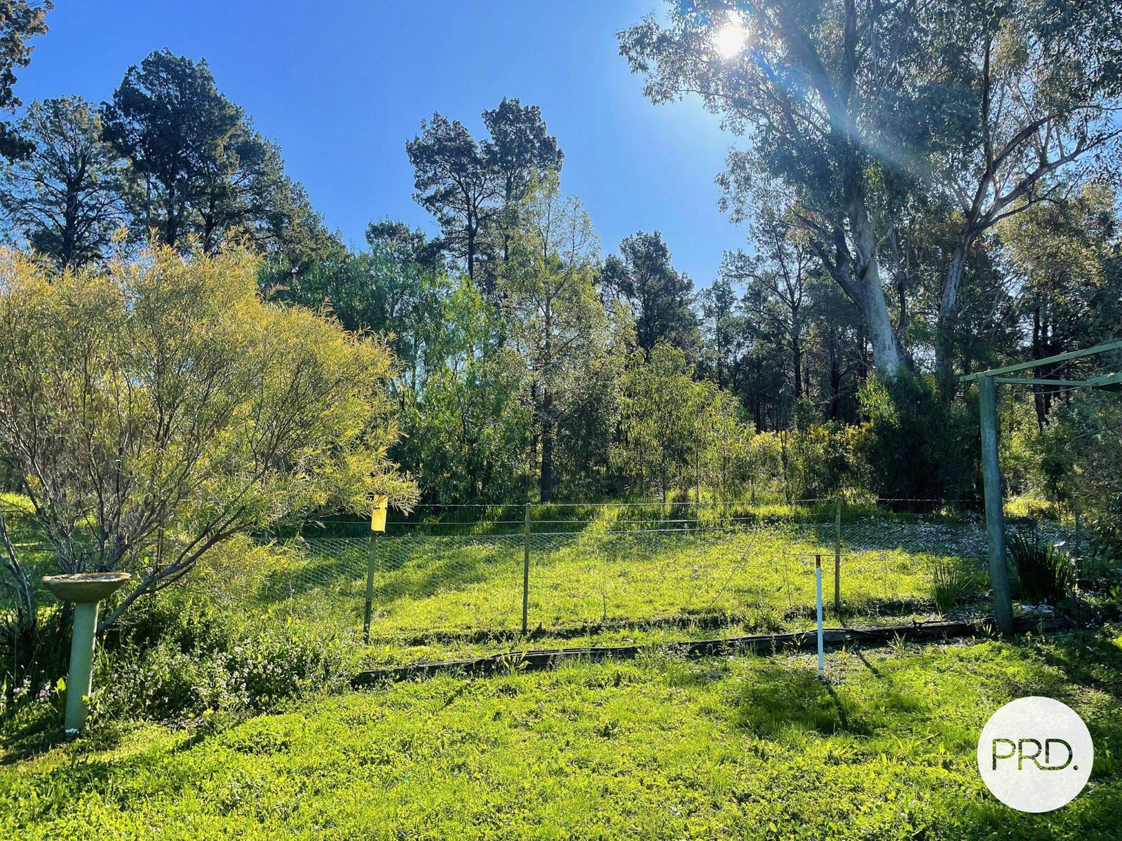 Lot 153 Cooper Street EUGOWRA 18