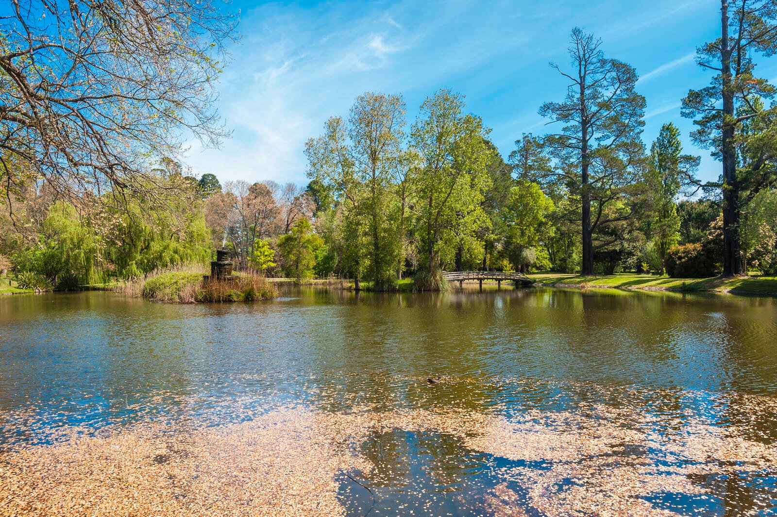 Real Estate and Property in Lot 15/4 Fleming Street, Malmsbury, VIC