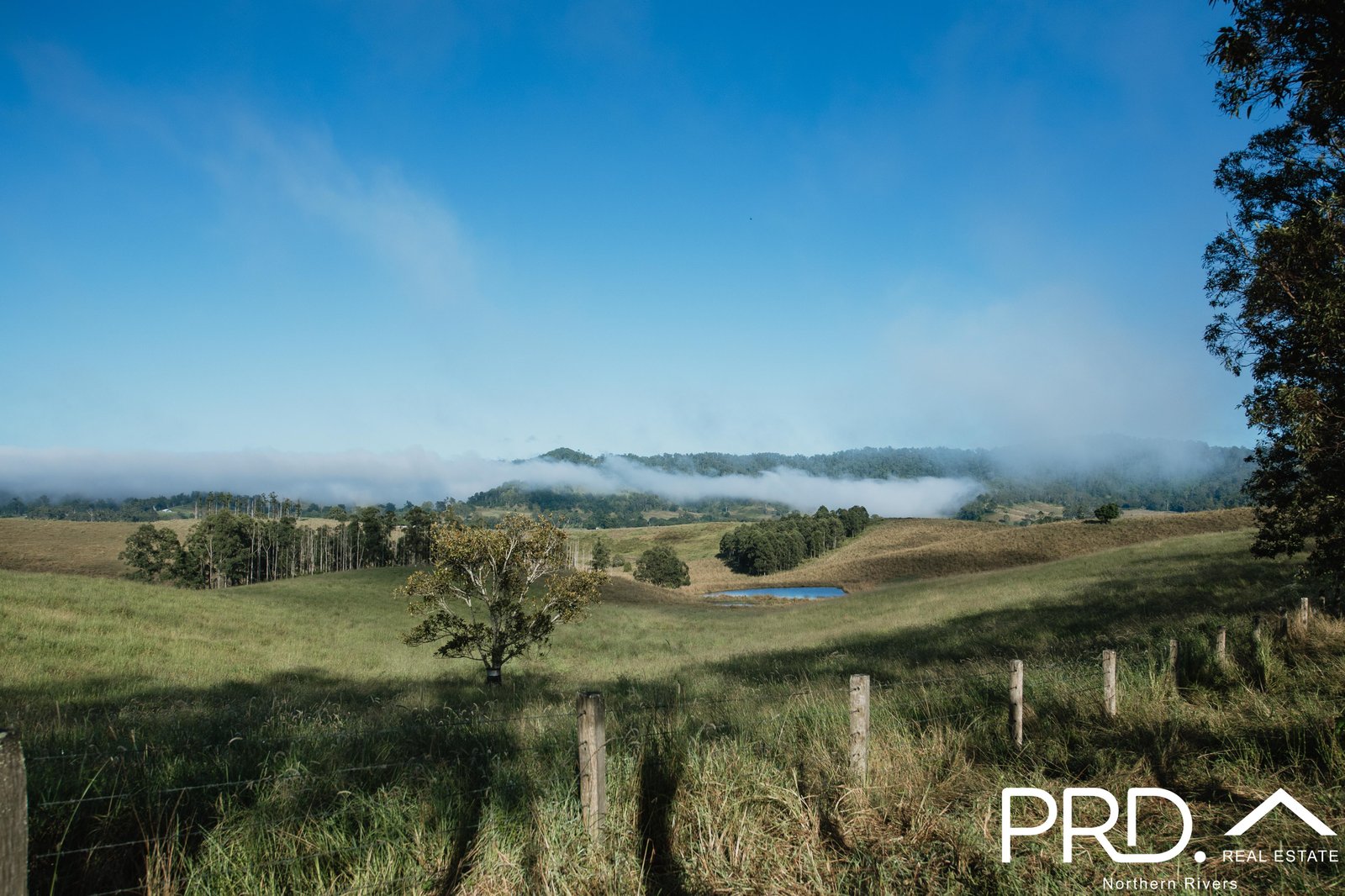 46 Lynches Creek Road WIANGAREE 4
