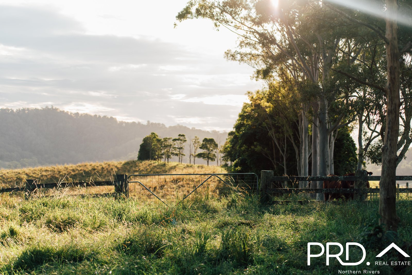 46 Lynches Creek Road WIANGAREE 7