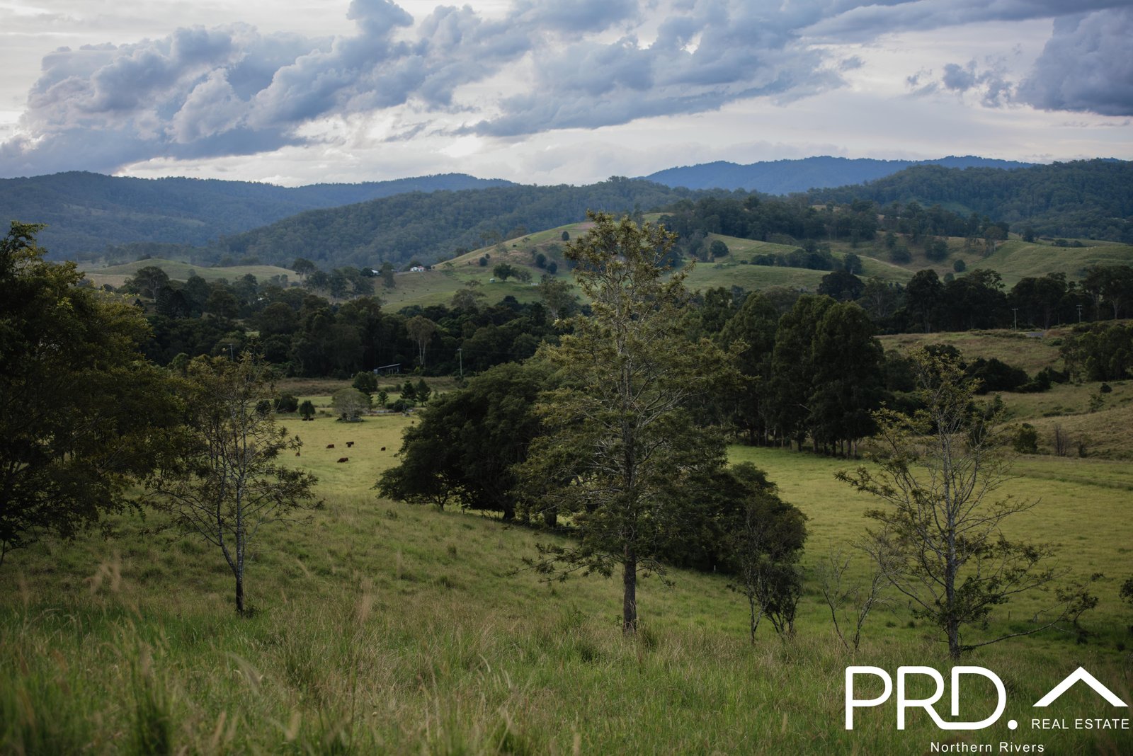 46 Lynches Creek Road WIANGAREE 8
