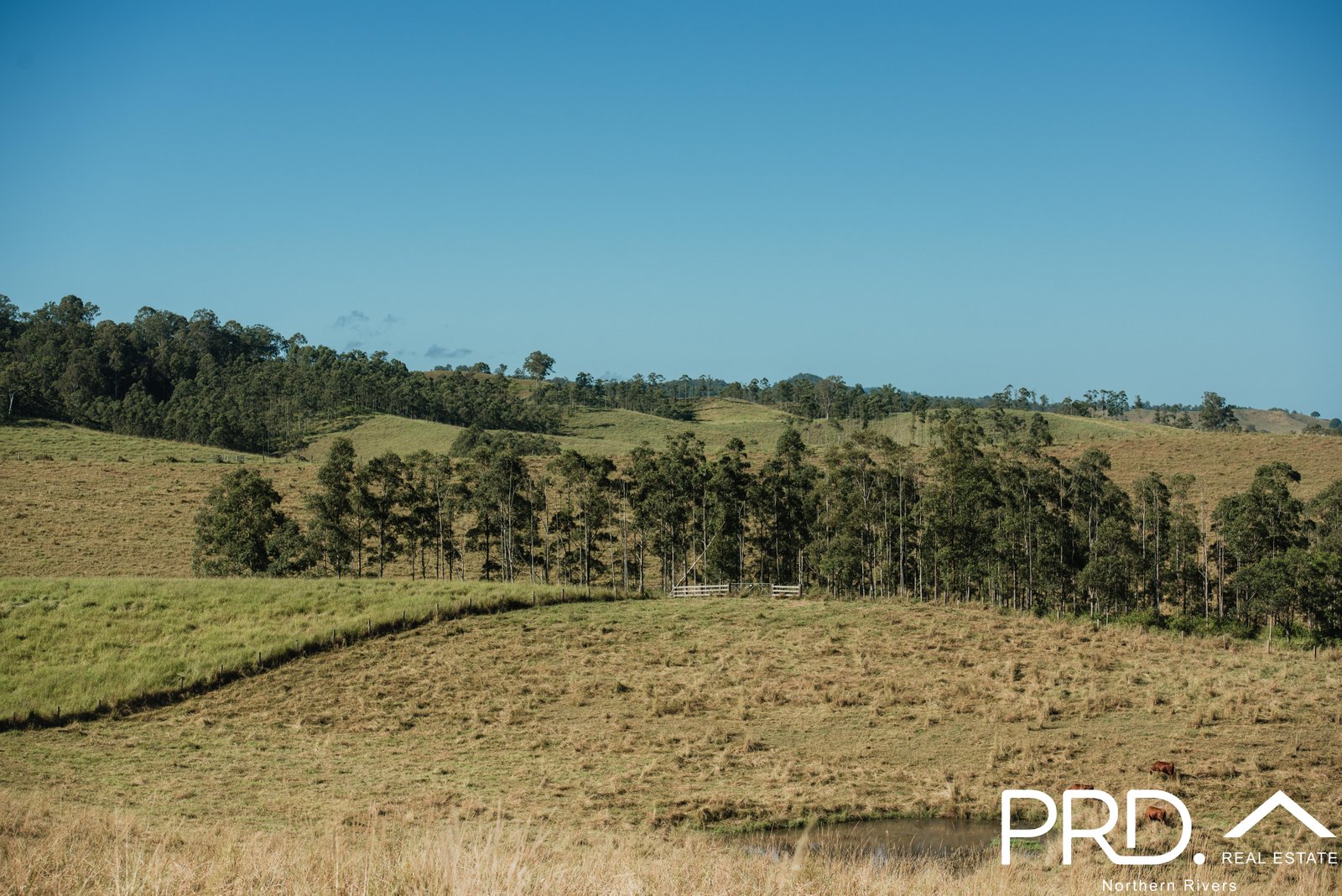 46 Lynches Creek Road WIANGAREE 9