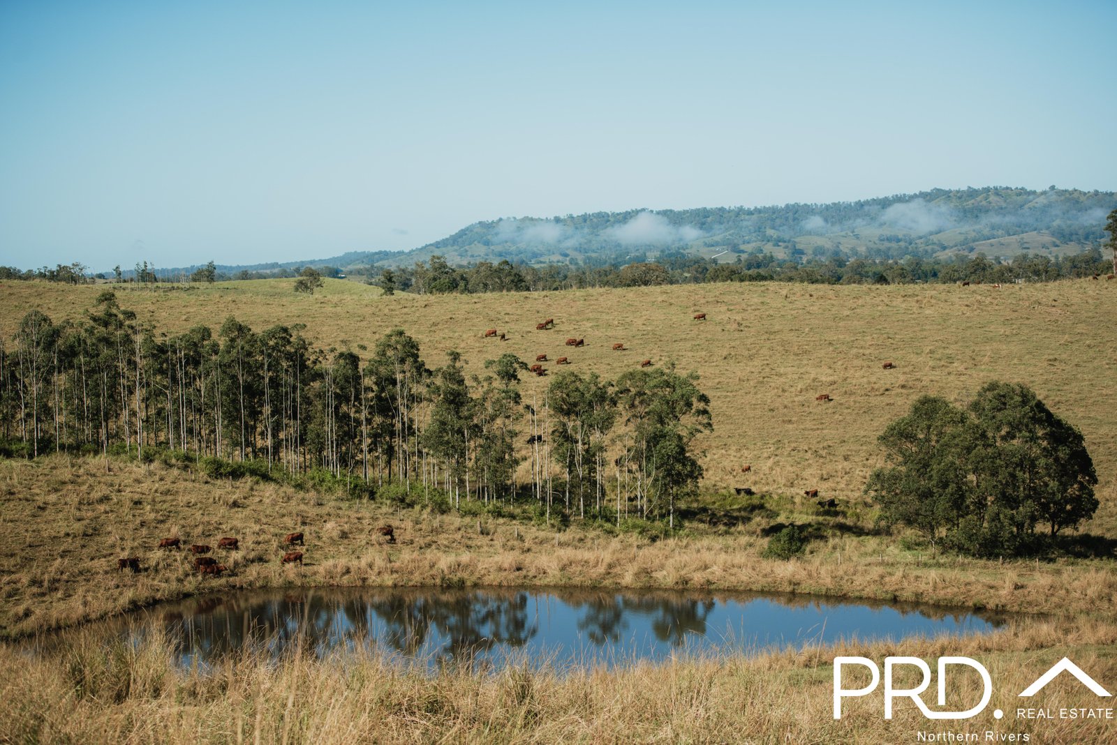 46 Lynches Creek Road WIANGAREE 13