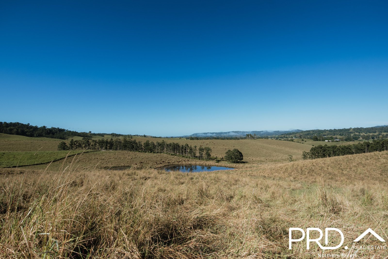 46 Lynches Creek Road WIANGAREE 23