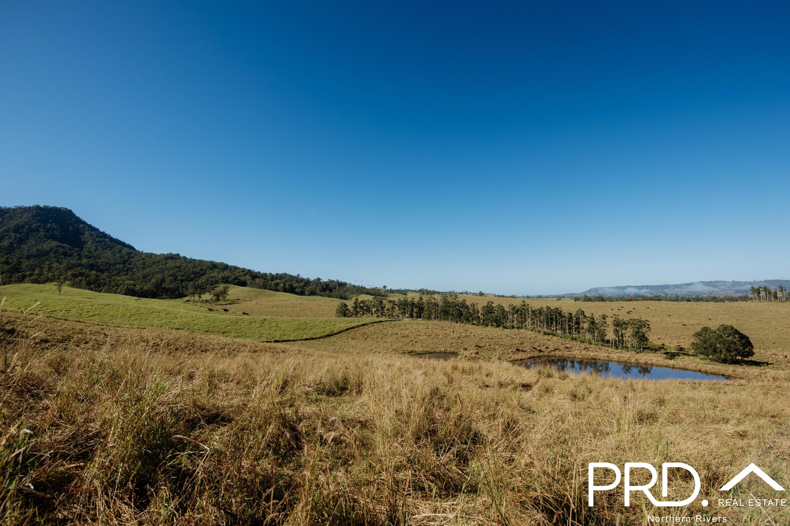 46 Lynches Creek Road WIANGAREE 24