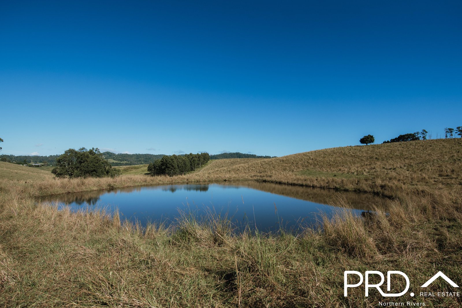 46 Lynches Creek Road WIANGAREE 25