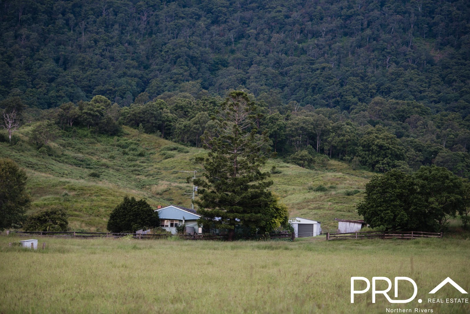 46 Lynches Creek Road WIANGAREE 27