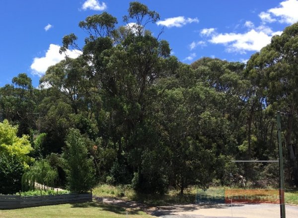 Lot 16 Bonza Crescent BATLOW 10