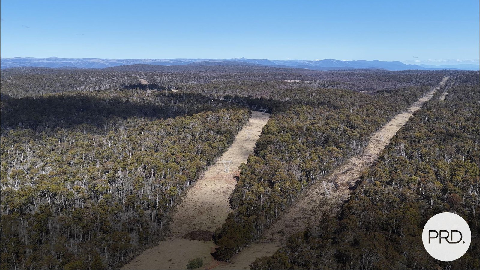 Lot 17 East Bago Powerline Road TUMBARUMBA 1